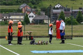 Fédération Nationale des Pompiers